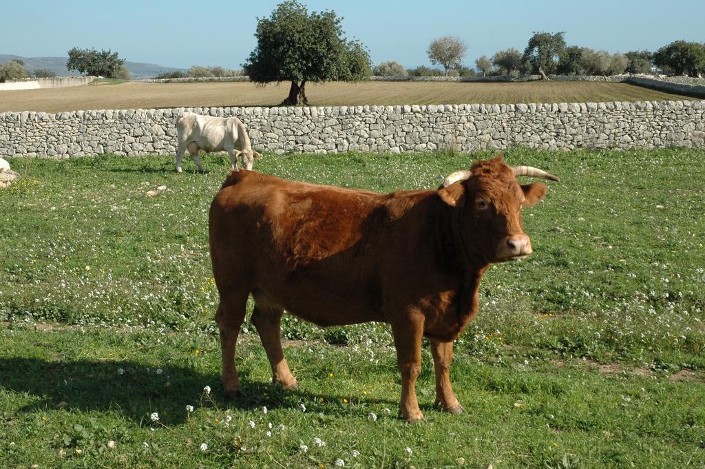 Agriturismo Il Melograno Vila Cannizzara Exterior foto